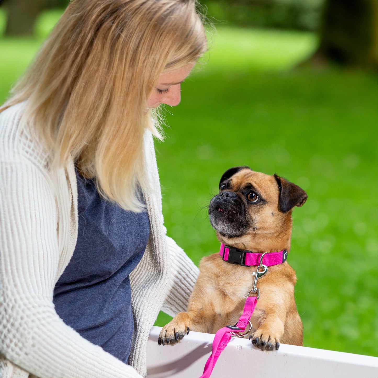 Hundehalsband, pink